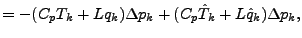 $\displaystyle = - (C_p T_{k} + L q_{k}) \Delta p_{k} + (C_p \hat{T}_{k} + L \hat{q}_{k}) \Delta p_{k},$