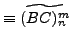 $\displaystyle \equiv \widetilde{(BC)_n^m}$