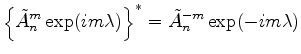 $ {\displaystyle
\left\{\tilde{A}^m_n \exp(im\lambda) \right\}^*
= \tilde{A}^{-m}_n \exp(-im\lambda) }$